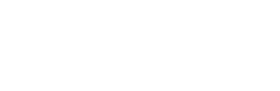 SECUI