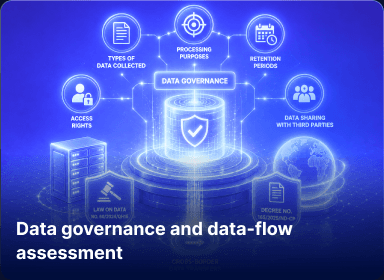 Data governance and data-flow assessment
